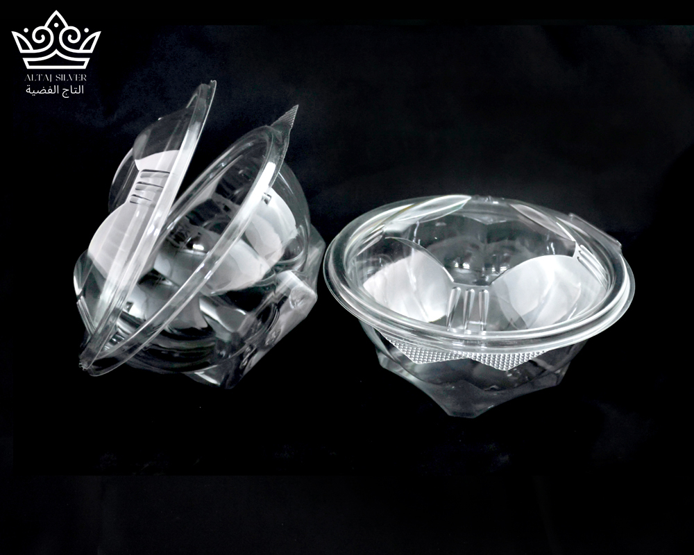 Transparent Salad Box 250 Meals Size 24